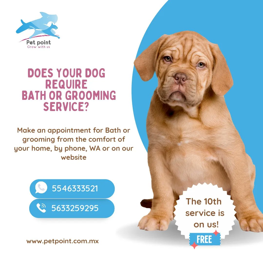 _PetPoint_'s tweet photo. Bath and grooming service available from Tuesday to Saturday, make your appointment online at https://t.co/YgfmAZGFLi WA 5546333521 and by phone 5546333521 The 10th service is on us! https://t.co/LuH48iFjeA