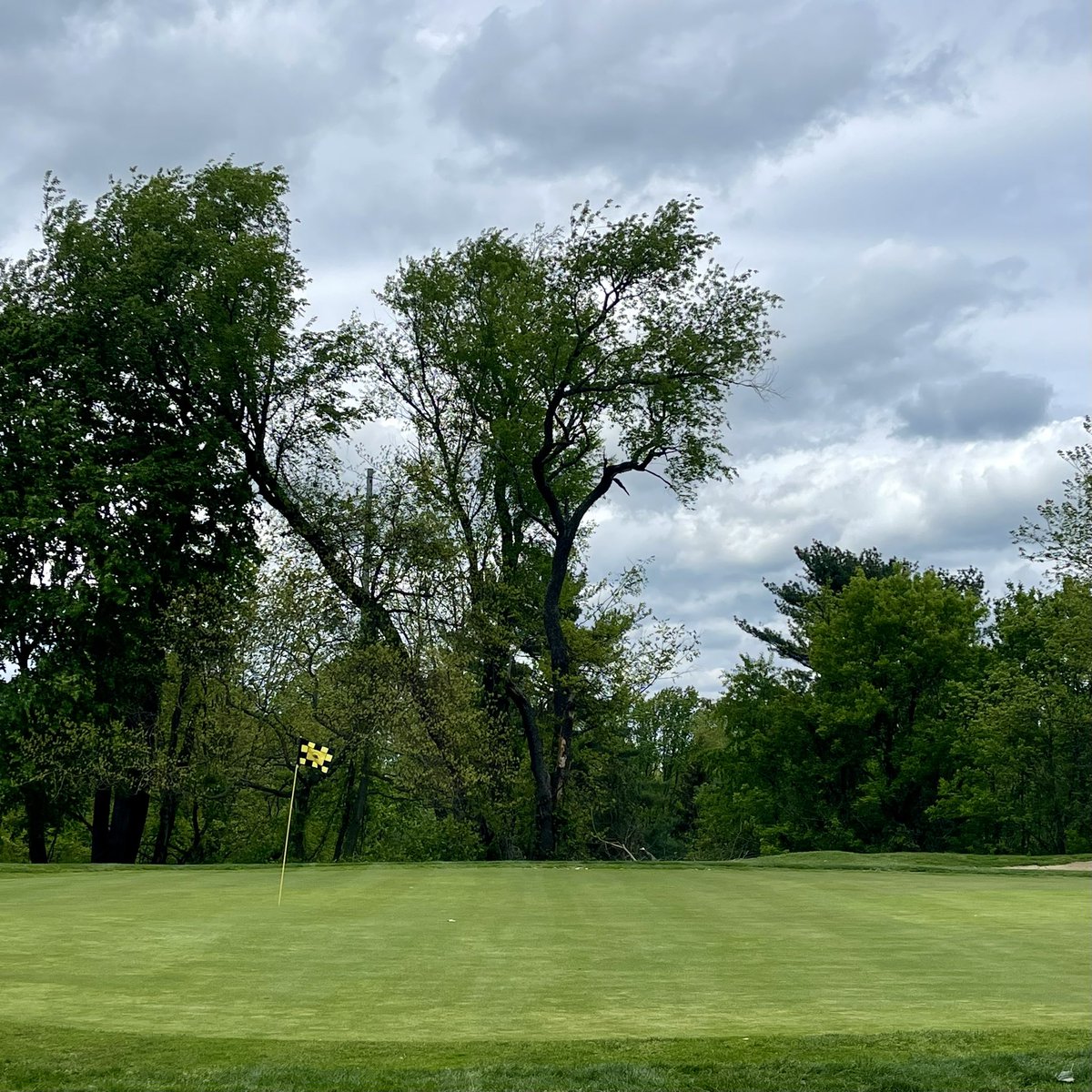 Howard Szczurek tweet media