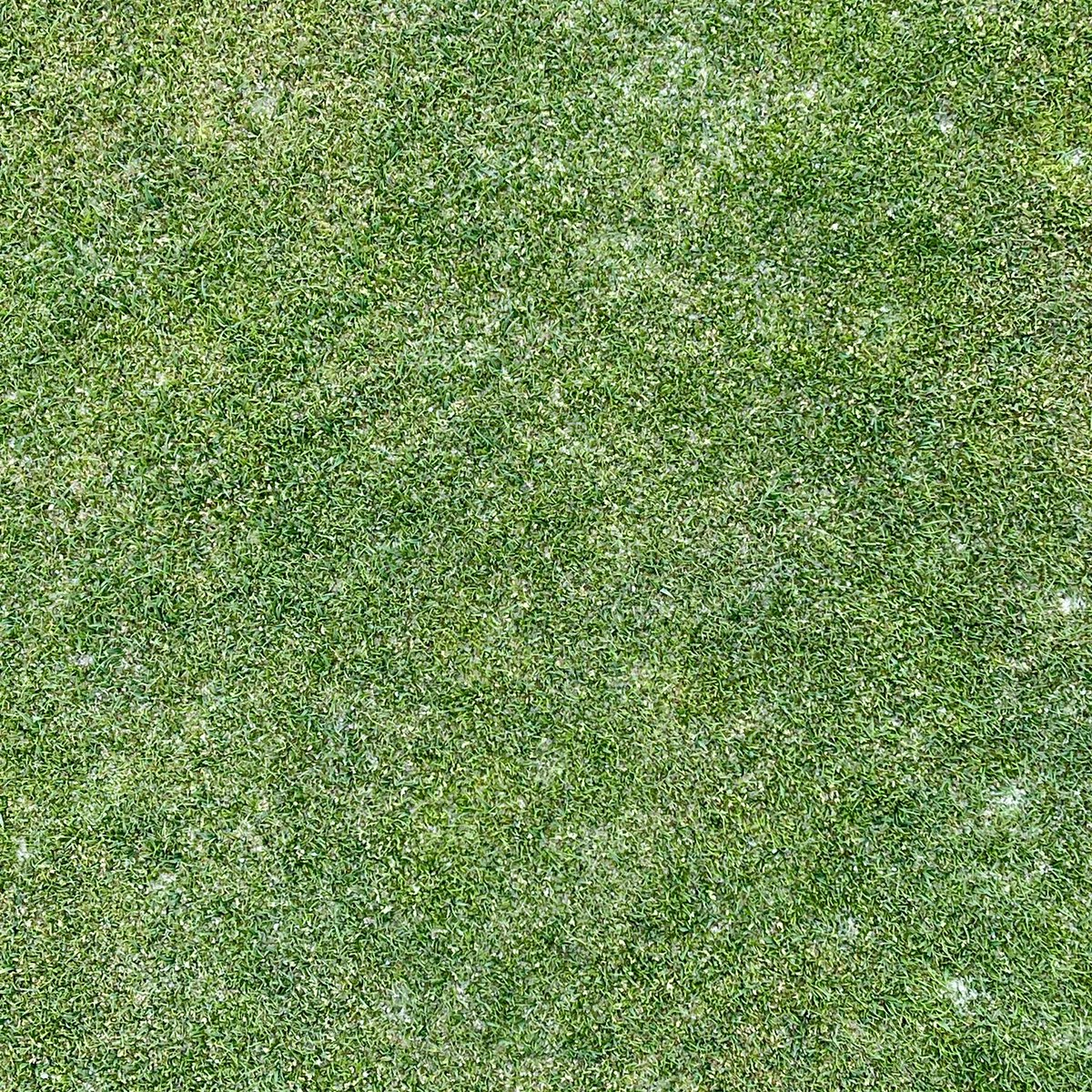 Howard Szczurek tweet media