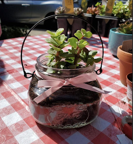 Ramona Convent tweet media