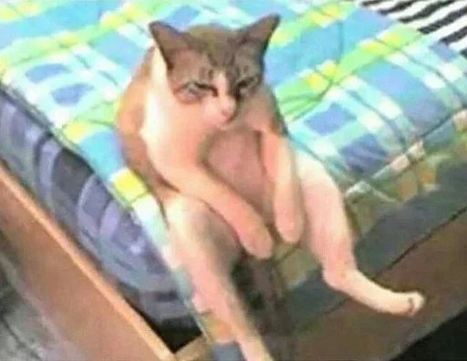 چجوری خونواده رو راضی کنم تتو بزنم؟