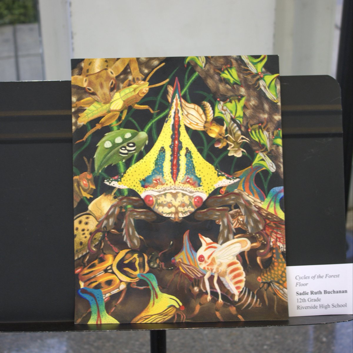 ValerieFoushee's tweet photo. Thank you to all the talented students across NC-04 who participated in 2023 Congressional Art Competition!

Congratulations to this year’s winners:
🥇Teresa Fang, @EastChapelHill
🥈Sadie Ruth Buchanan, @RiversideDPSNC
🥉Lexie Chen, @DurhamAcademy https://t.co/amBD3Fr5Ok