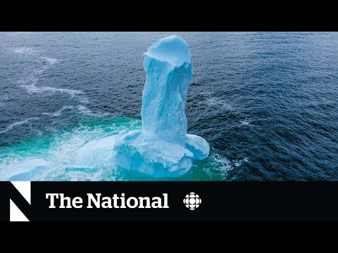 viaggrego's tweet photo. Un Enorme #Iceberg di forma "#Fallica" erge dalle #Acque dell'#Isola di #Terranova! (#Video)! https://t.co/F32Fw2jjb7 https://t.co/SCFZ4HFs3w