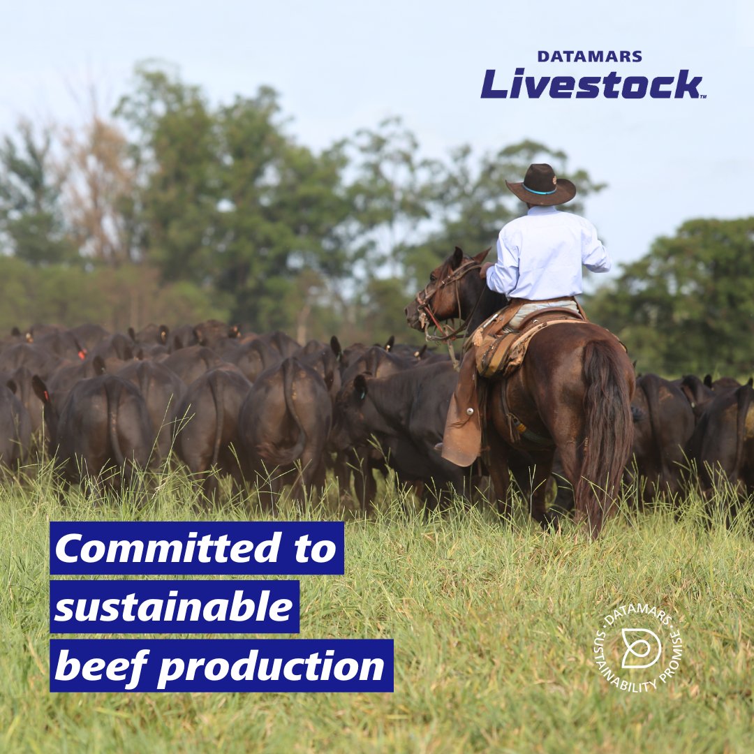 We don't consider #Sustainability as just a trendy term but a core principle that serves as a foundation for our operations. To discover how we support the increasing global demand for beef production and #LivestockManagement, visit our website: bit.ly/41gUw7A