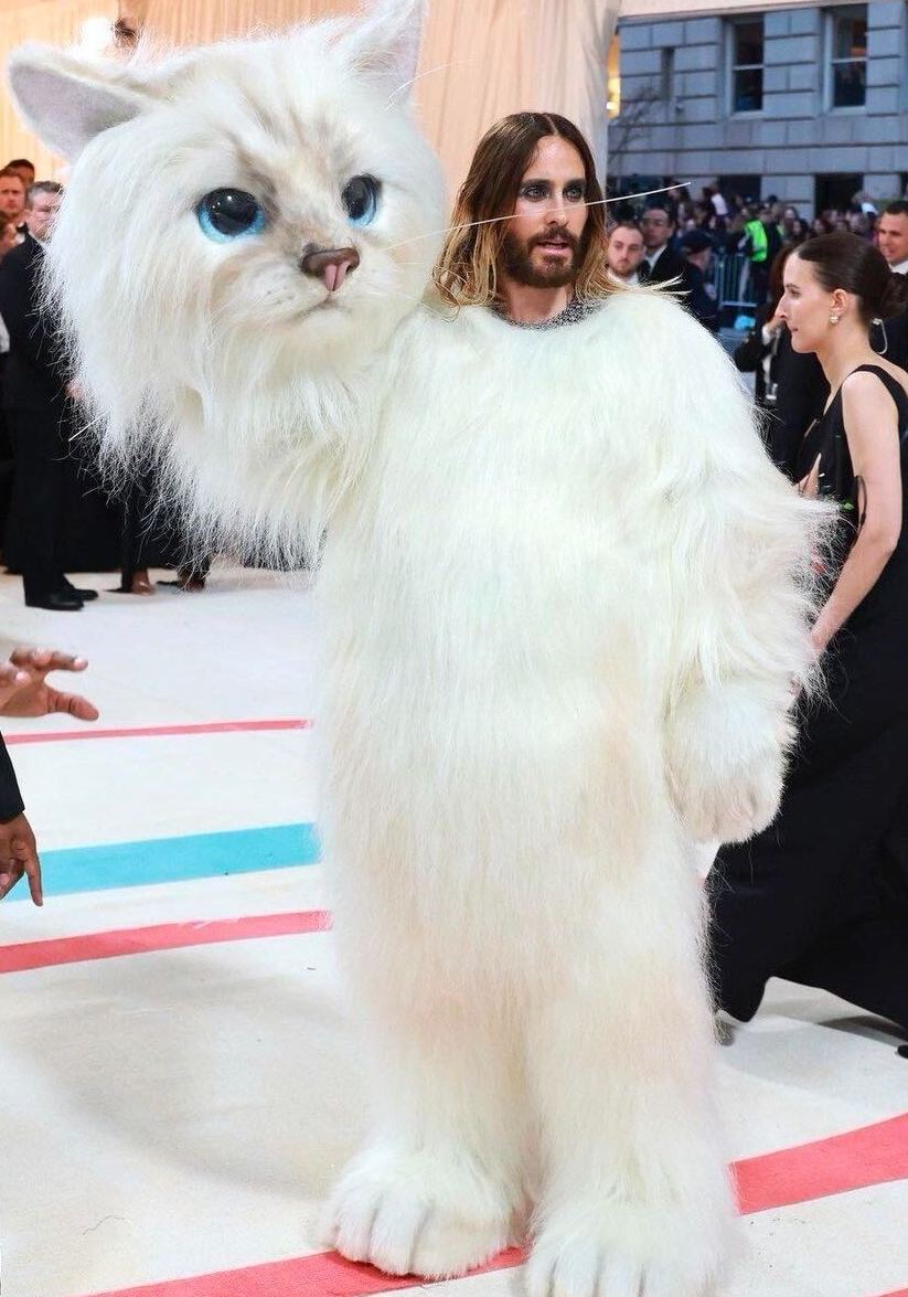 Me breaking into your house disguised as your cat reminding you to take your vitamins. #MetGala