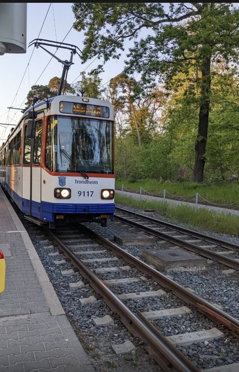 AFjelnseth's tweet photo. Trikken i Darmstadt med Trondheims kommunevåpen og navn. Det hadde vært fint om Graakallbanen også hadde en tilsvarende trikk med vennskapsbyen Darmstadts kommunevåpen og navn❤️ #Trondheim #Darmstadt #Graakallbanen https://t.co/99beiWf6Cb