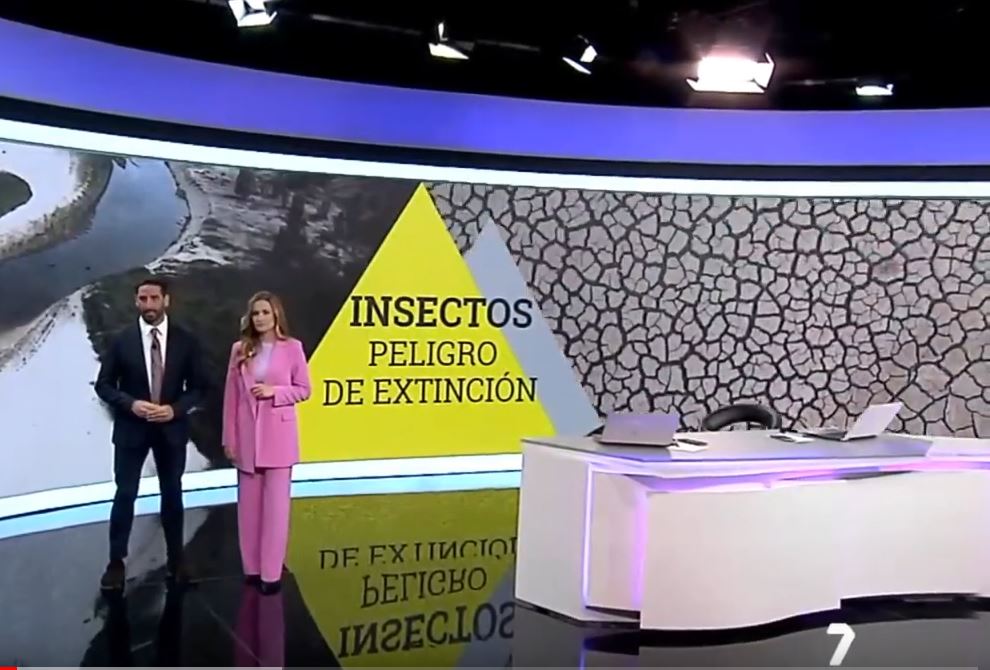 EcoAquaUMU's tweet photo. Os dejamos este vídeo de la reciente entrevista a nuestro @EcoAquaUMU para @la7tele , acerca del declive generalizado que están sufriendo los insectos, claves para el funcionamiento de los ecosistemas:
https://t.co/HlgiX3anqD https://t.co/dFvurgF6DG
