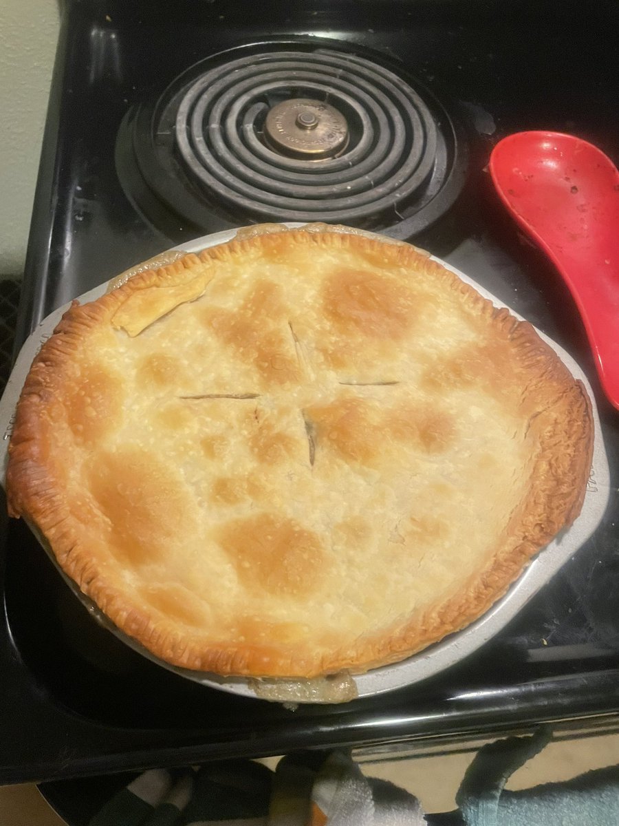 nbtfarchive's tweet photo. got depressed, made a pot pie https://t.co/1rJhAZss10