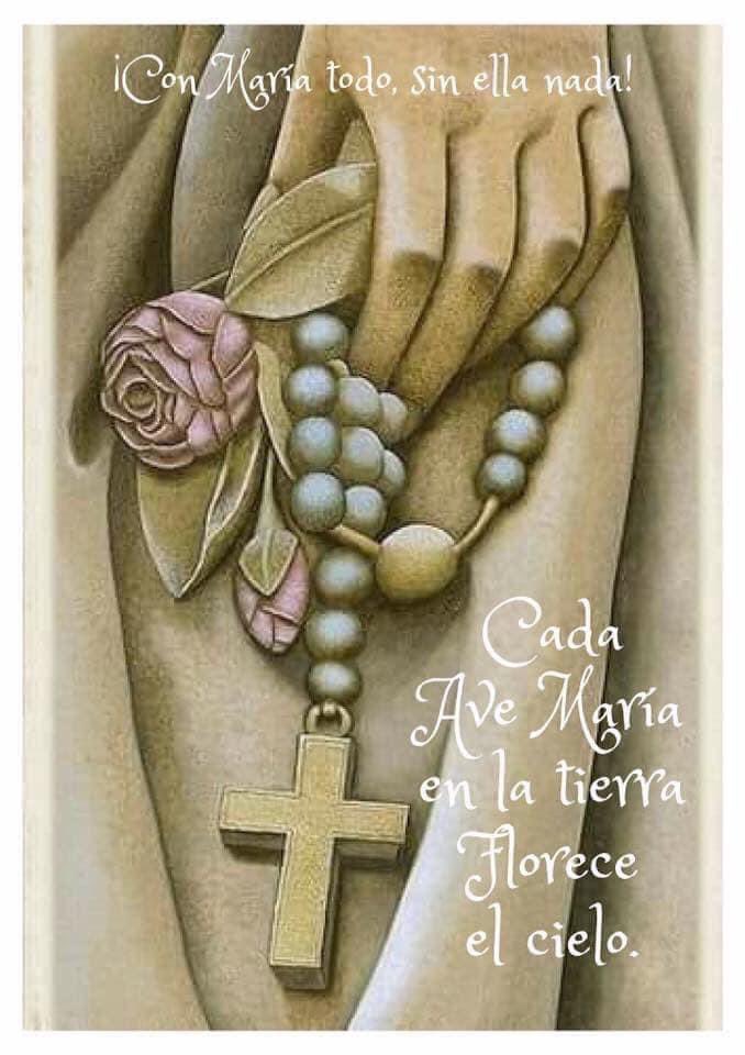 @catyalesson La Santísima Virgen es el camino más corto para llegar a Dios 💐