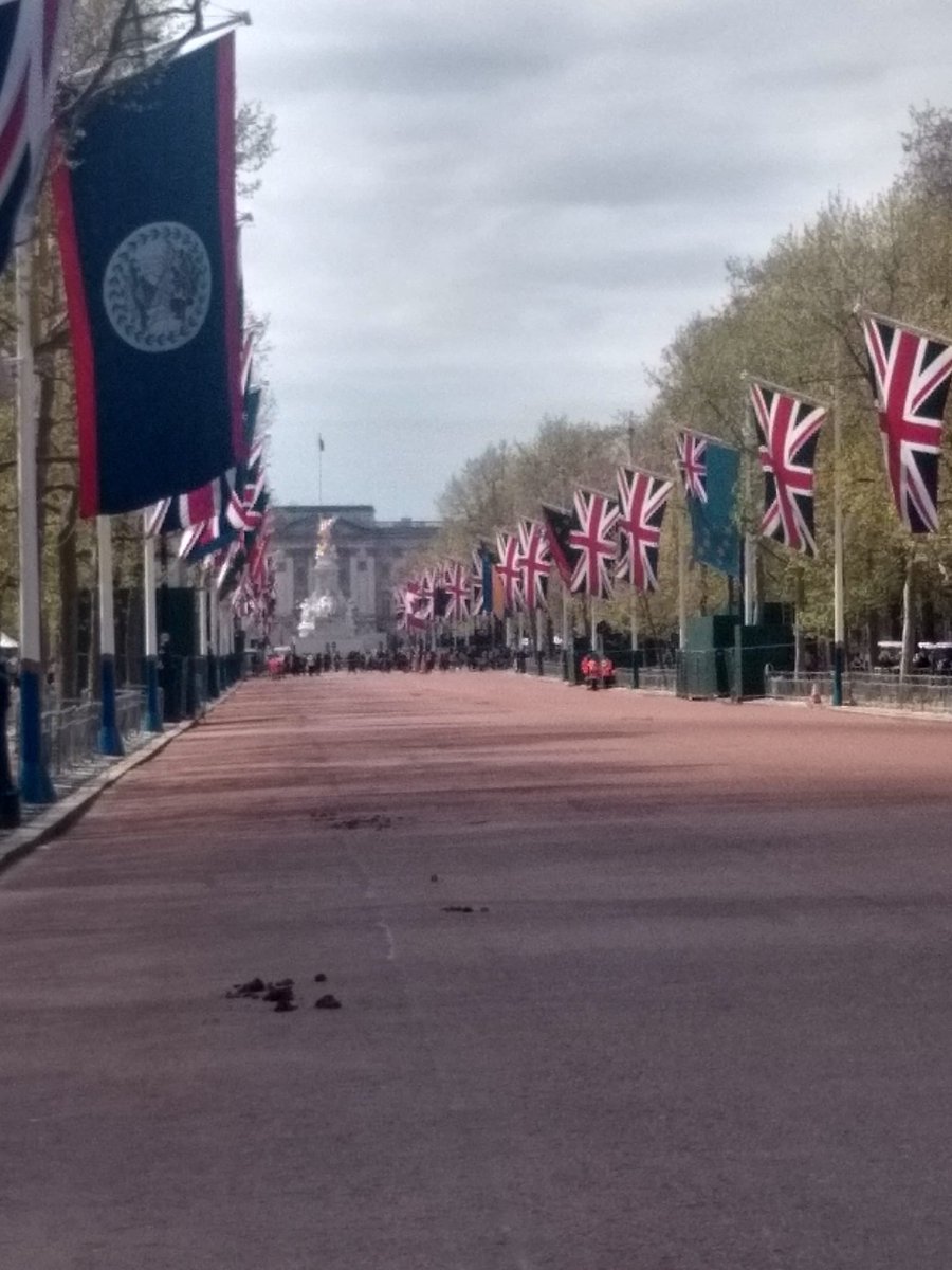 TheTinyGarden1's tweet photo. I've just spent a day in London and thought I'd share some photos of the preparations for the coronation. I hope you enjoy! #Coronation #KingCharlesCoronation #London https://t.co/lVVI5TwPmT
