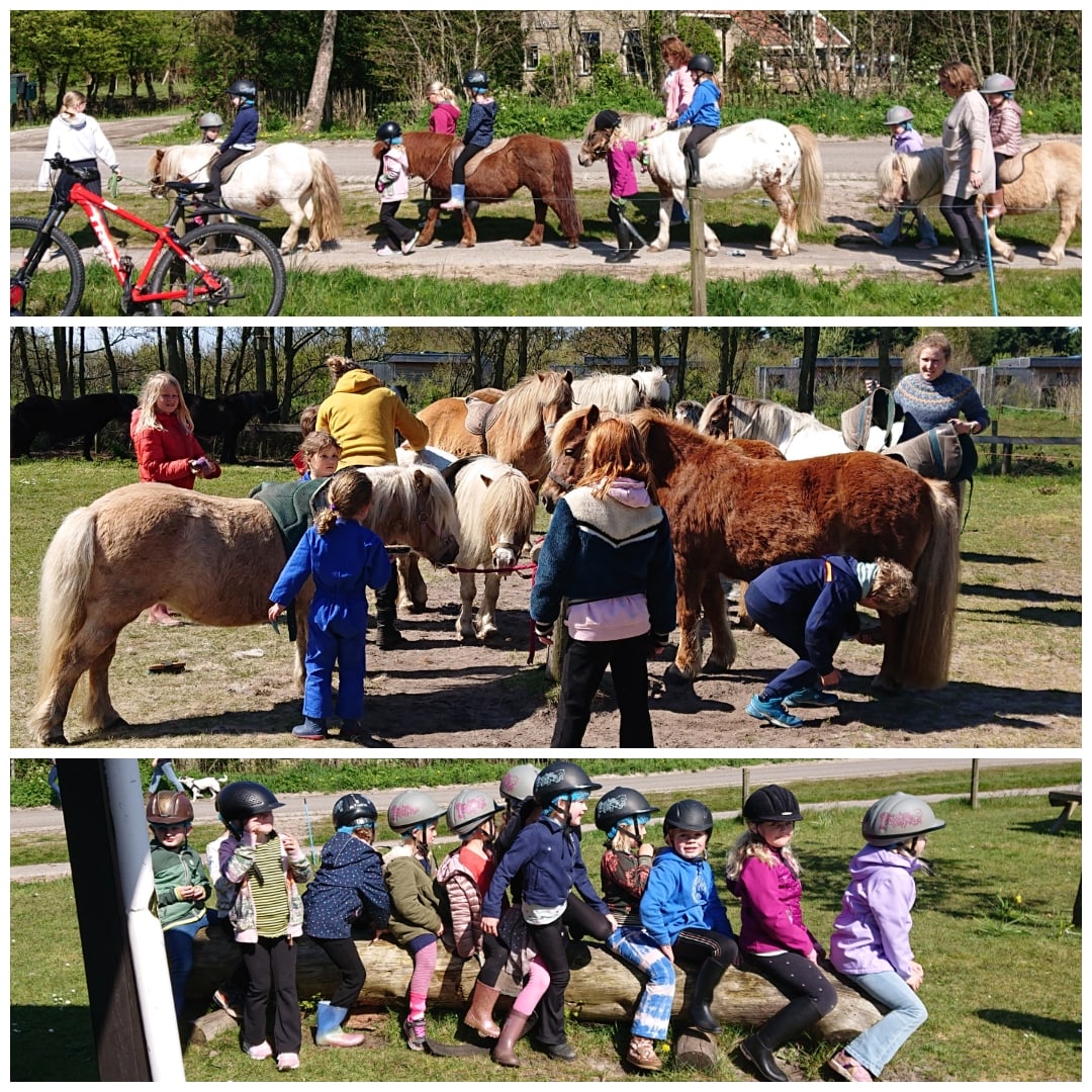DePrairiePonys's tweet photo. #Meivakantie op #Terschelling = Pret met #dePrairie Shet!
Gezellige drukte met heeeeeeeel veel blije Prairieponyfans! ππ¦ (en af en toe een huilende - omdat hij/zij weer naar huis moet.π #tsk)
We vieren meivakantie tm zaterdag 14.00!
#ponyfans #ponypret #Shetlanders #gezellig https://t.co/GzxumbI29f