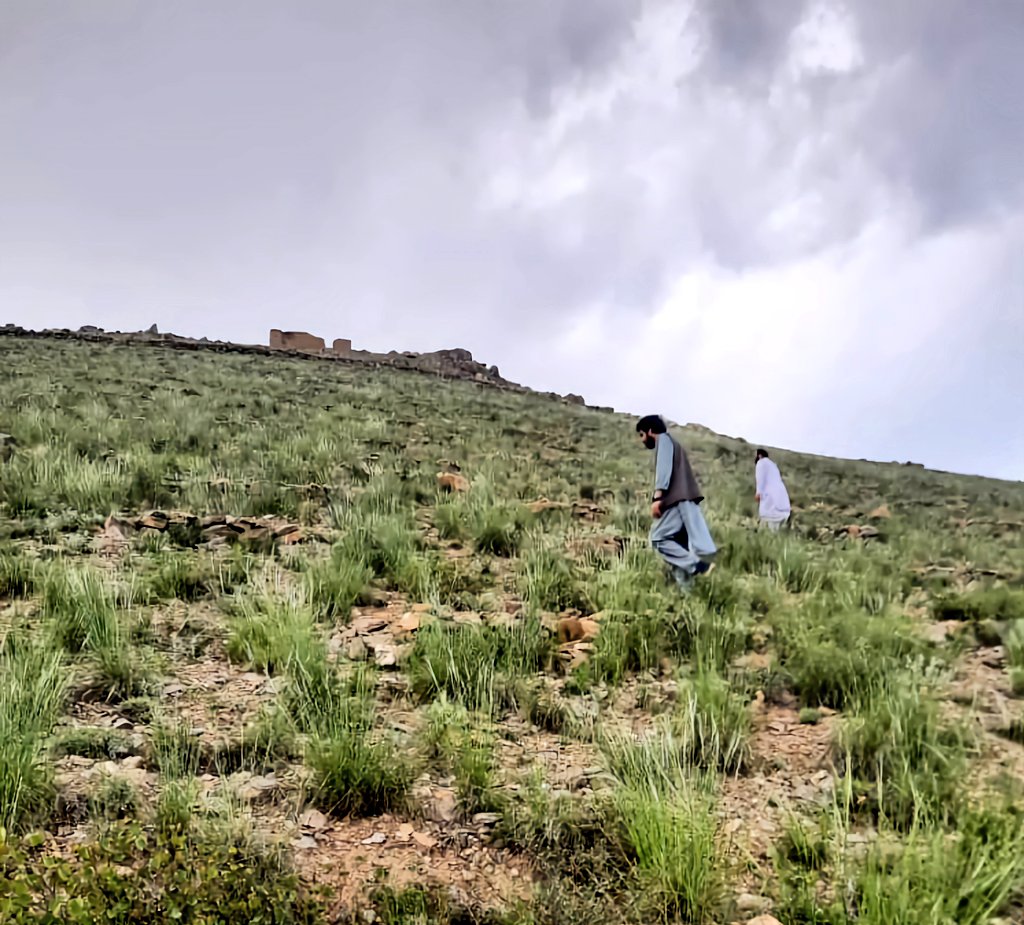 Ijaz_haque's tweet photo. Those being at top of mountains know coming back down is the hardest part.

We keep going back as if we r looking for something we have lost.

Let us work together to built the motherland, work for brotherhood nd make our Nation successful. https://t.co/gOrwuZNMq0