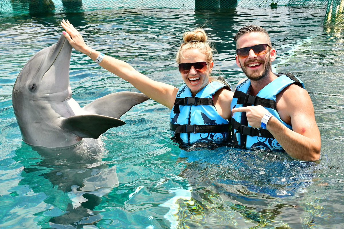 Ryan Goodson tweet media