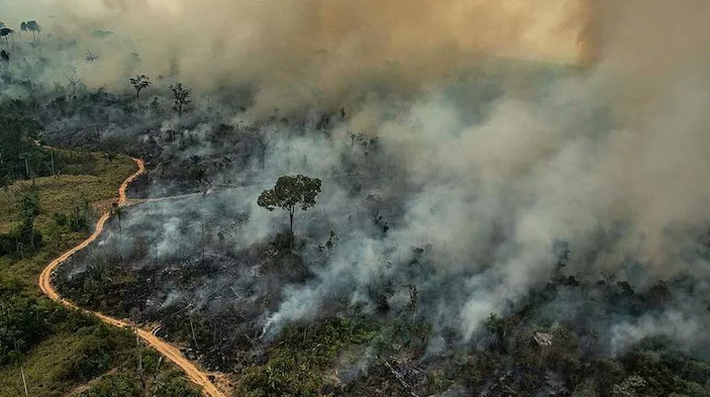 conexaoplaneta's tweet photo. Mais de 20% do território brasileiro foi #queimado entre 1985 e 2022: o equivalente a Chile e Colômbia juntos. #Cerrado e #Amazônia concentram cerca de 86% desse total, revela o @mapbiomas Foram mais de 185 milhões de hectares consumidos pelo #fogo: https://t.co/BmtJ5koHm7 https://t.co/XTDhG3GwNL