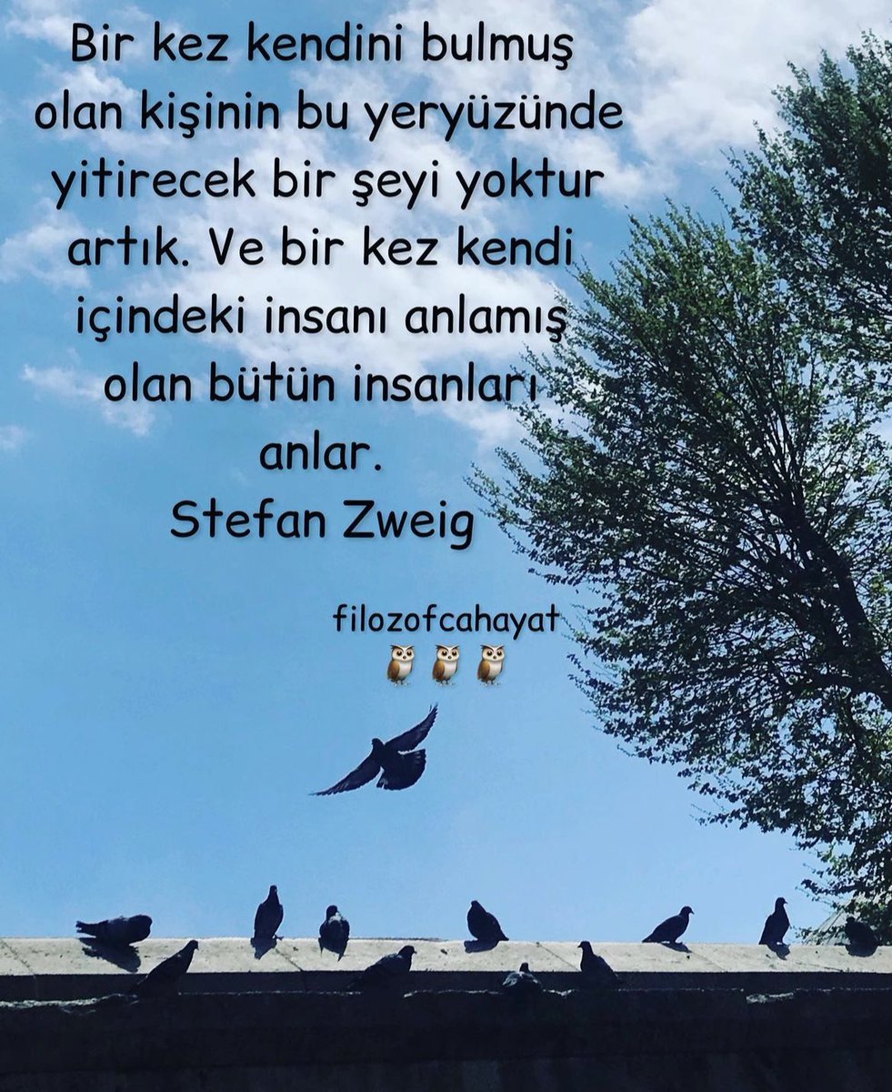 zeynep (@zeyna77034419) on X