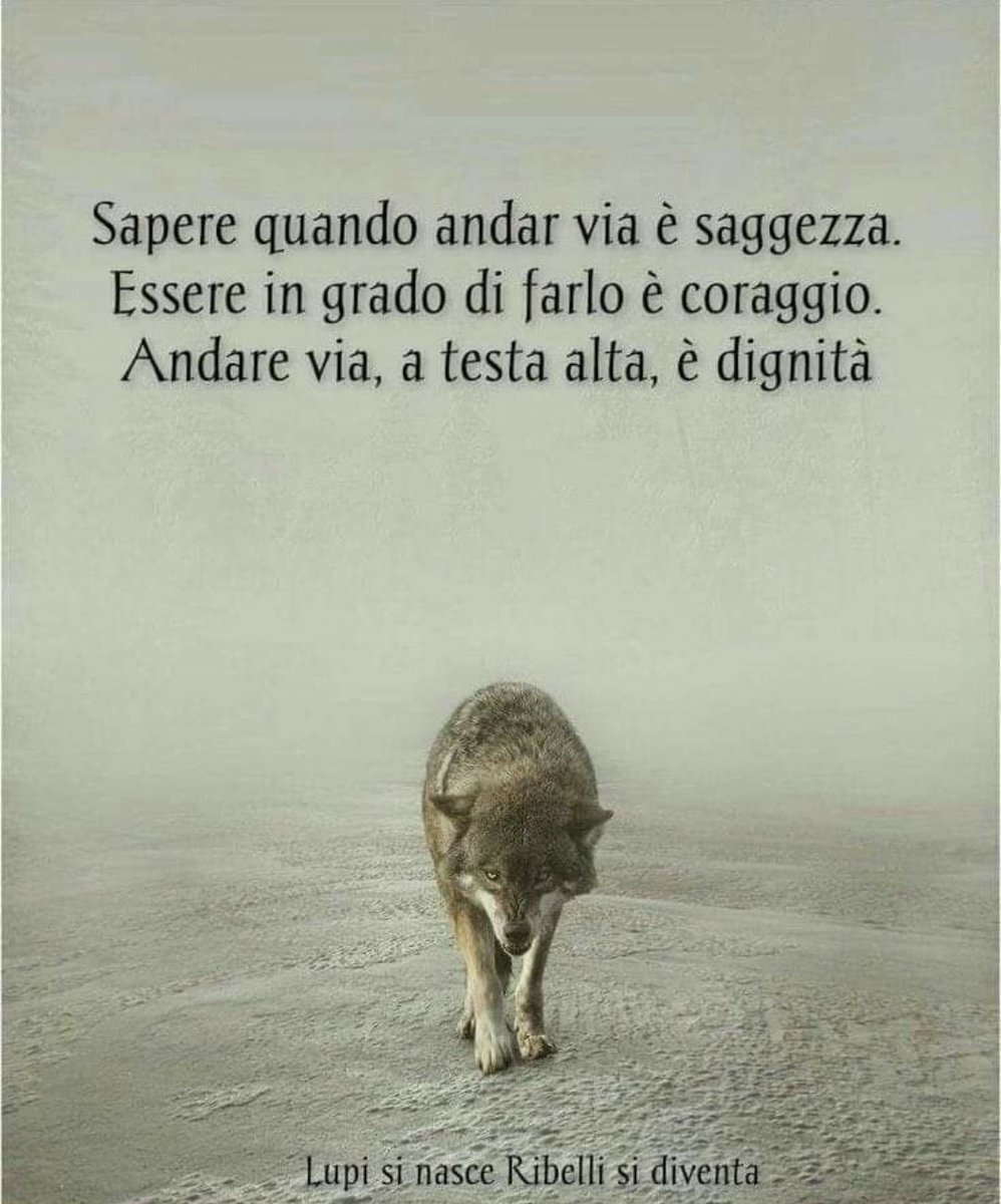 Peppone1961's tweet photo. 🎯 https://t.co/24NpH1XxIB