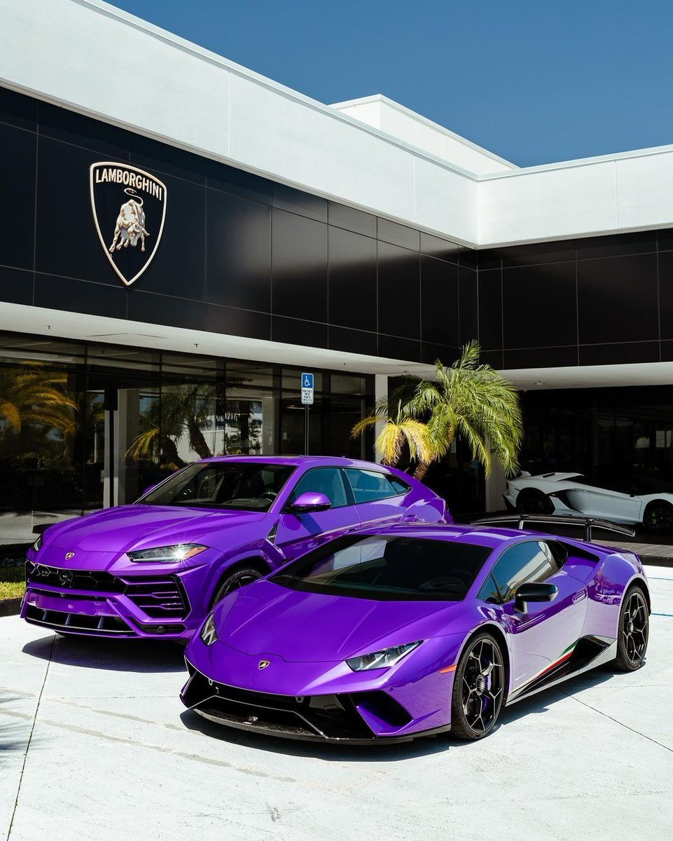 purp duo