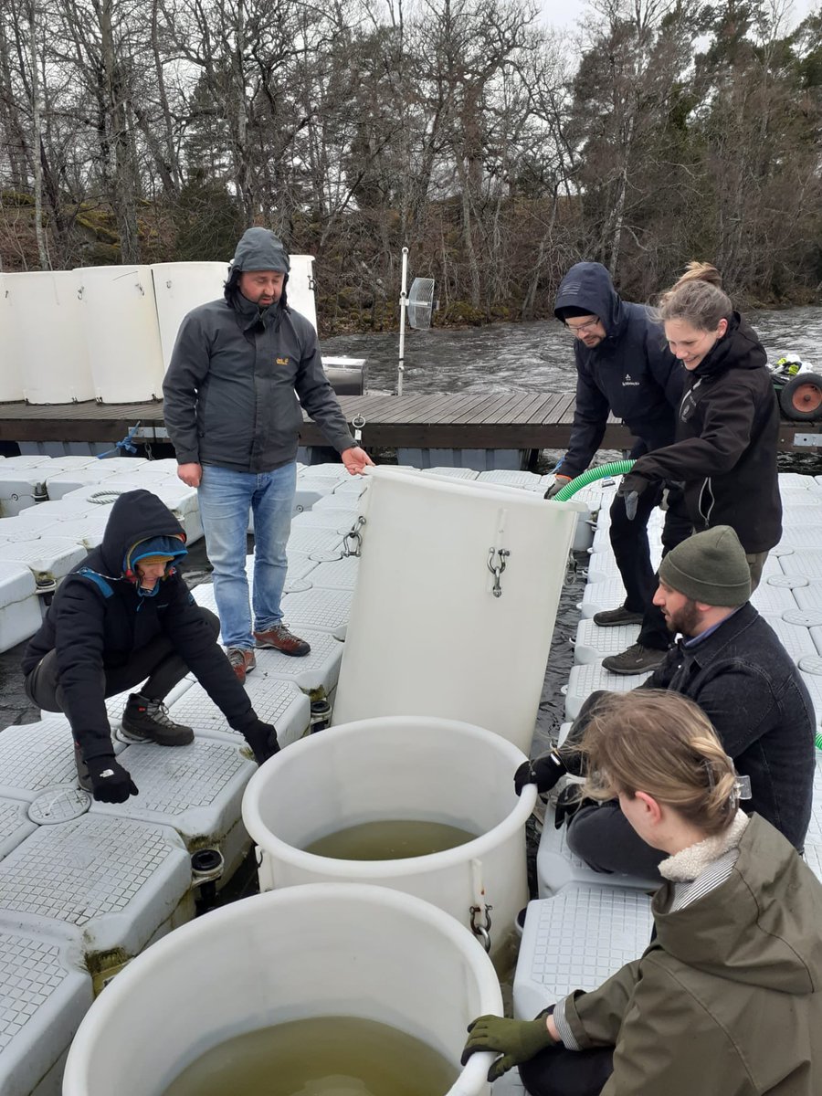 SITES AquaNet tweet media