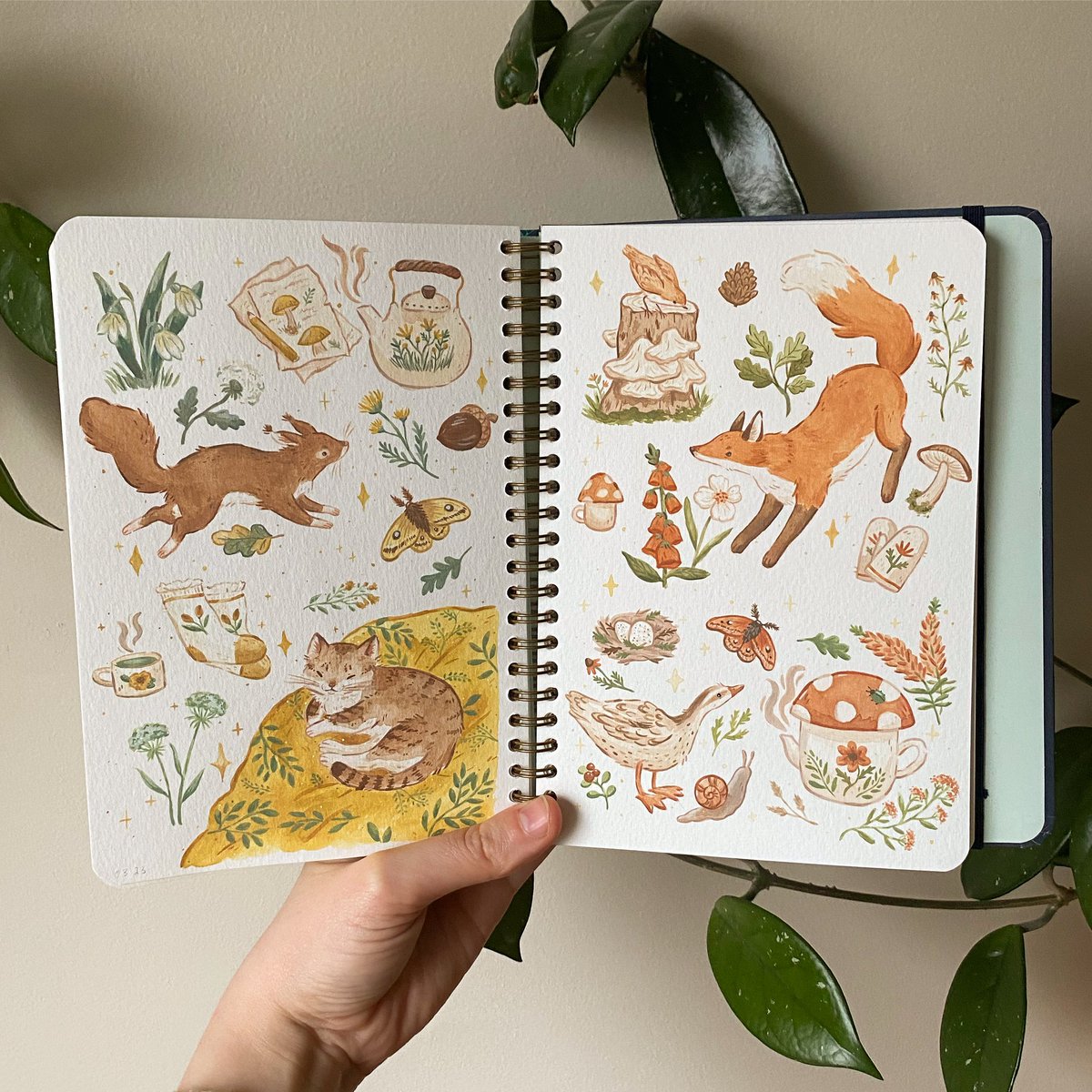 🌲🦊🌿