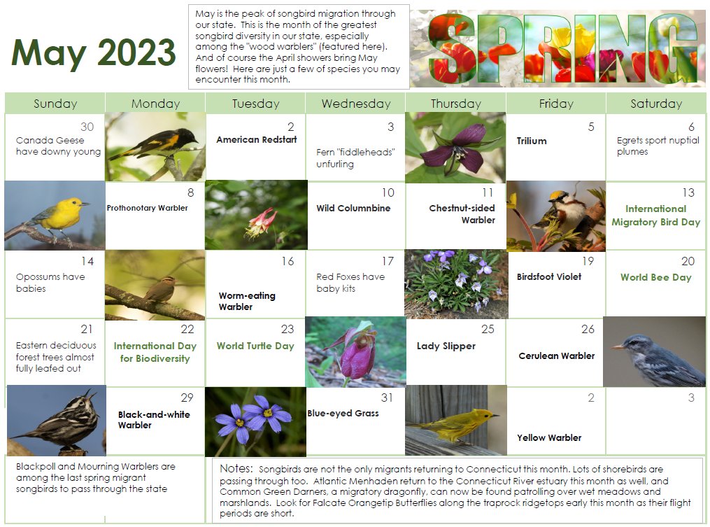 Plants and flowers continue to bloom while the bird migration reaches its peak. Check out our nature calendar to see what is in store for May. #CTNature #NatureCalendar #rockfallfoundation #connecticut #ctoutdoors #connecticutoutdoors #860 #Nature #May