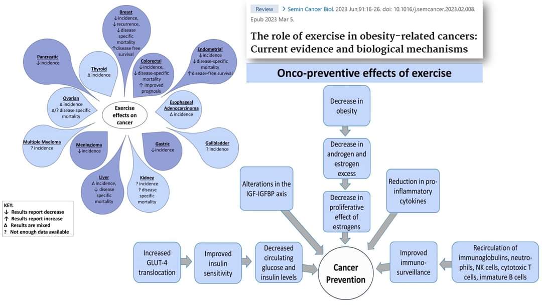 𝗘𝗷𝗲𝗿𝗰𝗶𝗰𝗶𝗼 𝗳𝗶́𝘀𝗶𝗰𝗼 𝘆 𝗰𝗮́𝗻𝗰𝗲𝗿𝗲𝘀 𝗿𝗲𝗹𝗮𝗰𝗶𝗼𝗻𝗮𝗱𝗼𝘀 𝗰𝗼𝗻 𝗼𝗯𝗲𝘀𝗶𝗱𝗮𝗱

Casi 20 millones de nuevos casos de cáncer y 10 millones de muertes relacionadas con el cáncer anualmente a nivel mundial, siendo la segunda causa de muerte.

Abro hilo
👇🏽