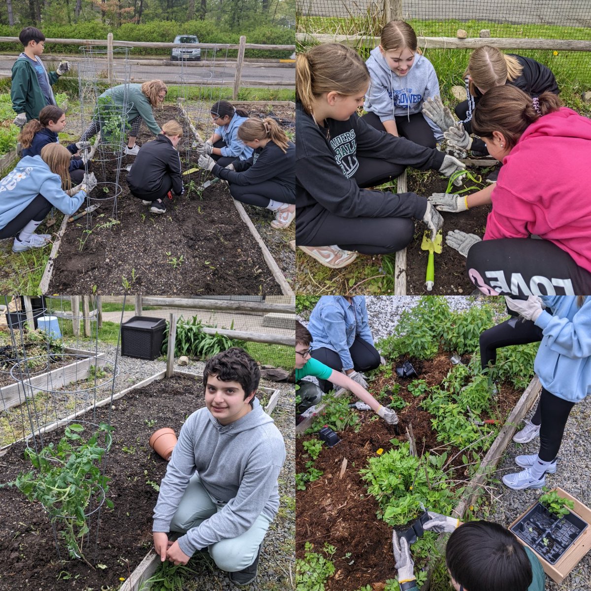 Evan Franchini tweet media