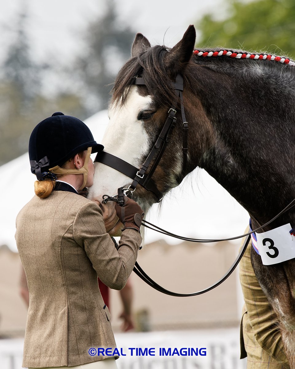 SESHA Heavy Horse &amp; Country Show Proofs Now Available 
conta.cc/3VpvTmS
conta.cc/40VVeGf
conta.cc/3niqpOq