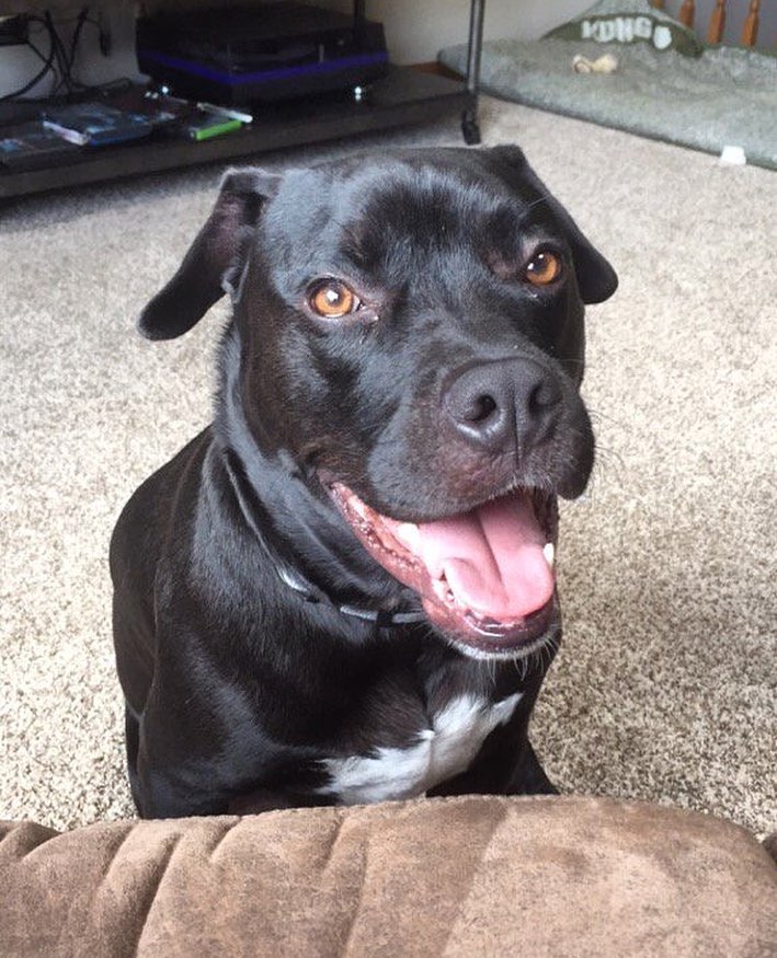 Alexander Maria (@alexandermariat) on Twitter photo 