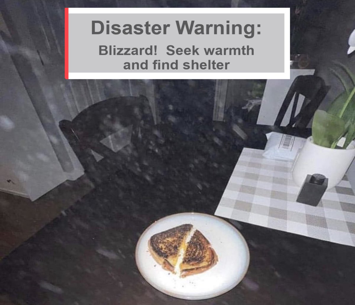 Octalienuwu's tweet image. 