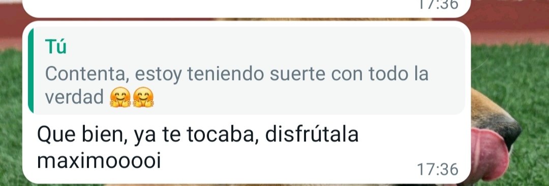Alba Sarmiento tweet media