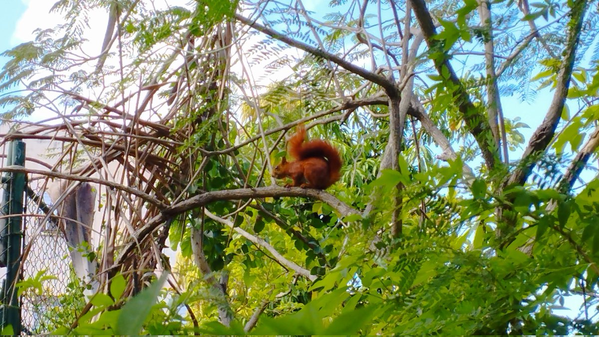 "Procura notar la belleza inesperada..." (La Habana, calle Colón)