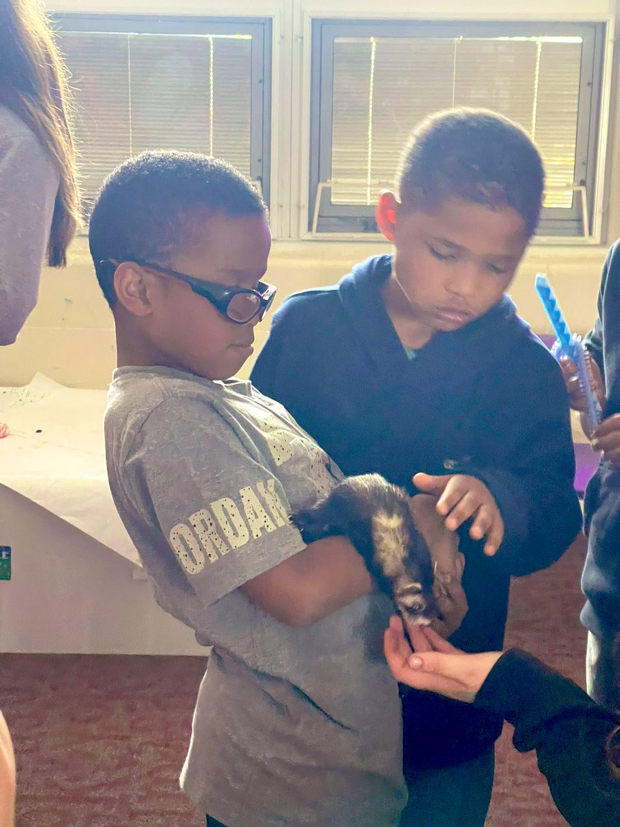 Miss Puckett tweet media