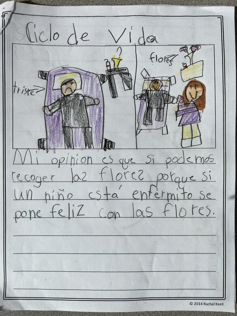 OlgaMorel9's tweet photo. Should we pick flowers? … here is what my DL first graders think 🧐 😀 Plant unit, opinion writing #spanish @AmericanReading @Lima_FortesES @ppsdMLLs https://t.co/NtiH2OyTZ5
