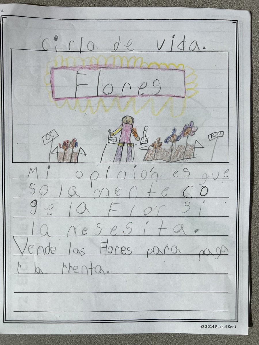 OlgaMorel9's tweet photo. Should we pick flowers? … here is what my DL first graders think 🧐 😀 Plant unit, opinion writing #spanish @AmericanReading @Lima_FortesES @ppsdMLLs https://t.co/NtiH2OyTZ5