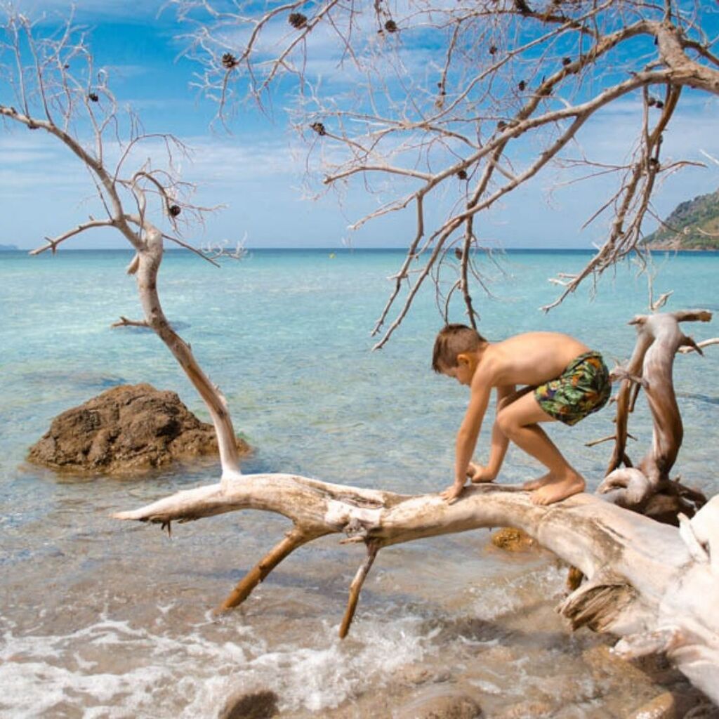 Der raue Norden der Insel ist nicht unbedingt für Badestrände bekannt. Dennoch gibt es eine Vielzahl von tollen Buchten und Stränden, die einen Besuch lohnen. Zum Beispiel:

- Cala Figuera de Formentor
- Platja de Formentor
- Die Cala Bóquer
- Der Strand S'Illot auf der Halb…