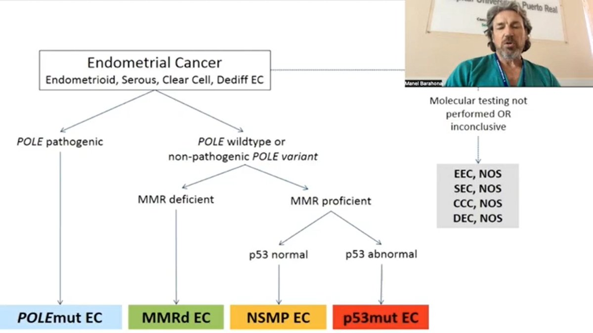 Perfil molecular NSMP del cáncer de endometrio.  Dr. Manel Barahona, <a href="/HosPuertoReal/">Hospital Puerto Real y La Janda</a>, nos intenta aclarar quién “habita” este cajón de sastre del cáncer de endometrio.

📺youtu.be/VC6TcNKZw0M

➕youtube.com/playlist?list=…
