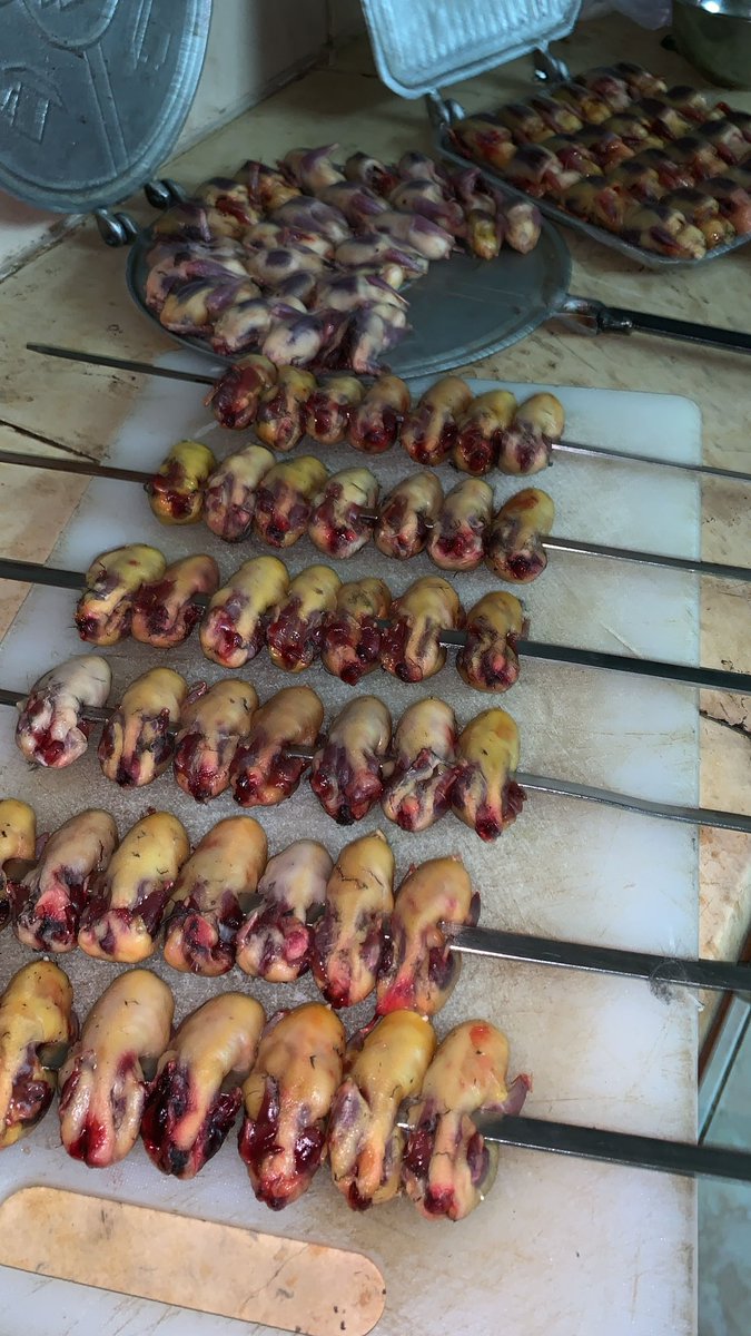 #الطيور_المهاجرة 
😋
