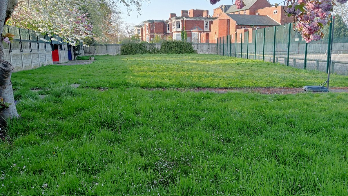 Total Care Grounds Maintenance tweet media