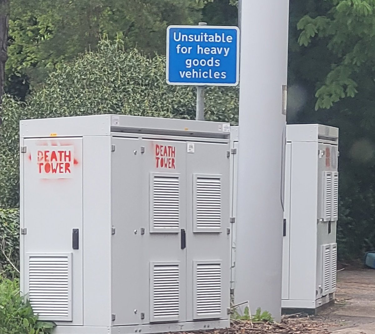 David Rogers tweet media