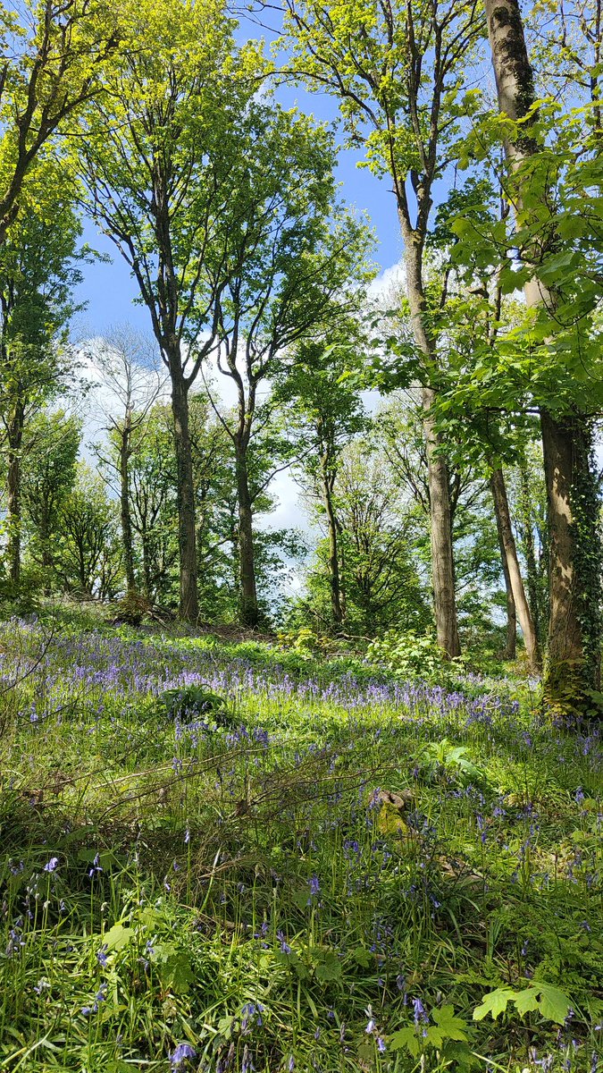 RDE_PTandOT's tweet image. 📢‼️We have a number of vacancies out to advert in our friendly therapy department in beautiful Devon! See previous tweets or visit: royaldevon.nhs.uk/careers/explor… for job listings. Please DM us with any questions ☺️ #devonisheaven #OT #physio