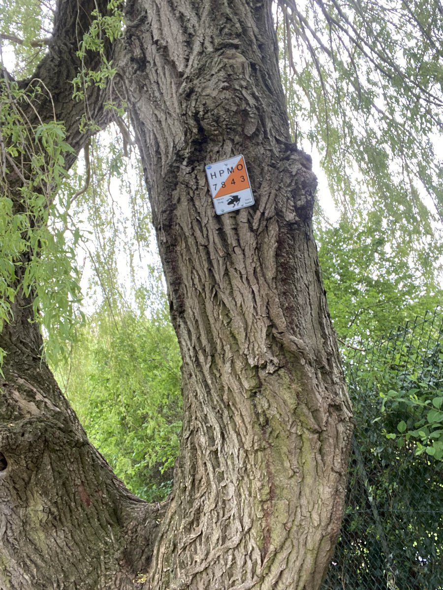 Jasonenriched's tweet photo. Great day @CLPrimary 
All things Orienteering🌎 #outdoorlearning #mapping #training #phonics #crosscurricular @enrichedu https://t.co/S84GsQEQPk