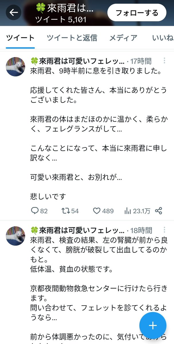 hacandayo's tweet photo. 次回予告

フェレット 爆裂

お楽しみに！ https://t.co/XpgEJMSuzU