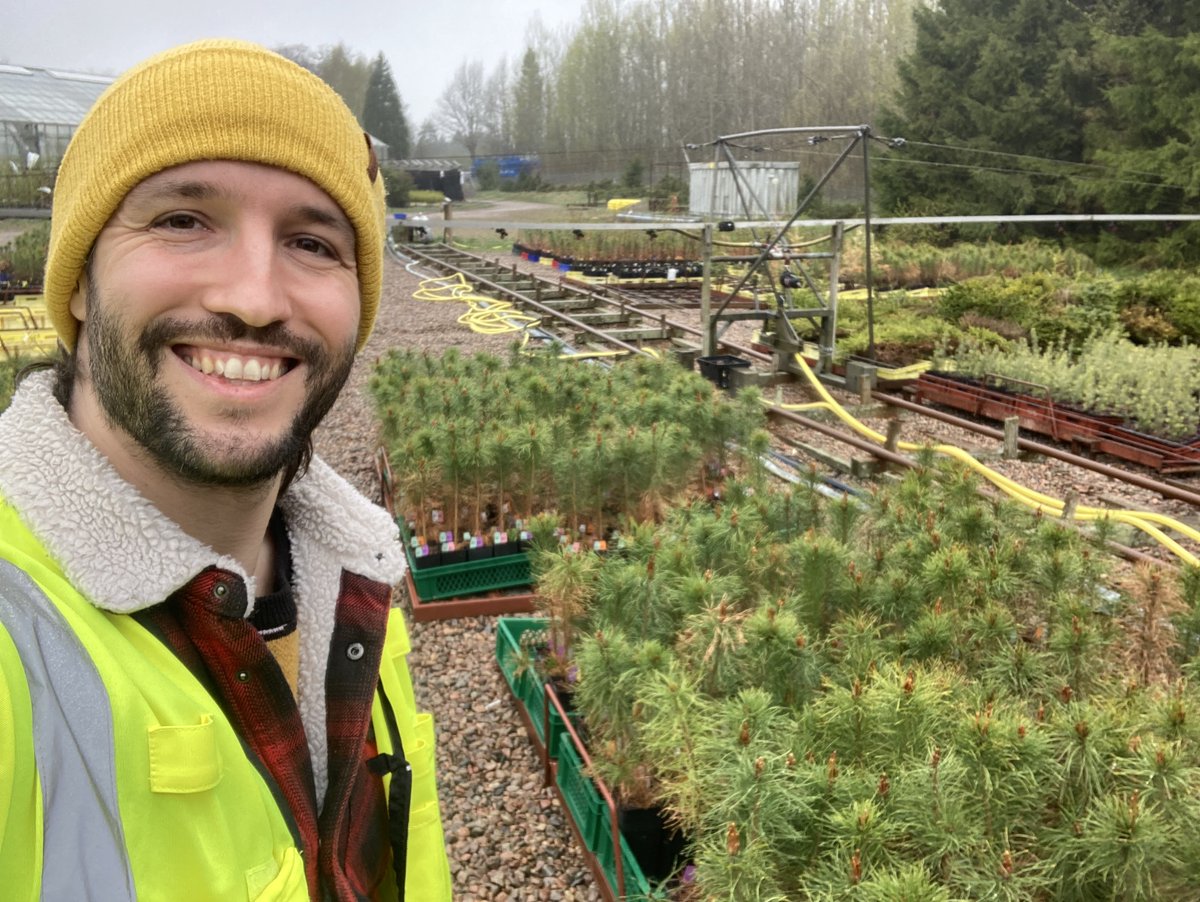 johanna_witzell's tweet photo. Finally! Field experiment financed by a grant from @FormasForsk  exploring pine mycobiome has started @SkogOchTra @linneuni ! Great work by post doc researcher Dr Daniel Knapp, with help from @Skogforsk! https://t.co/Lw1rsac9iU