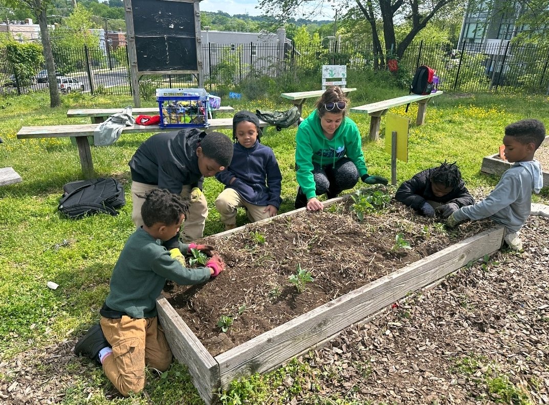 Ms. Baratta tweet media