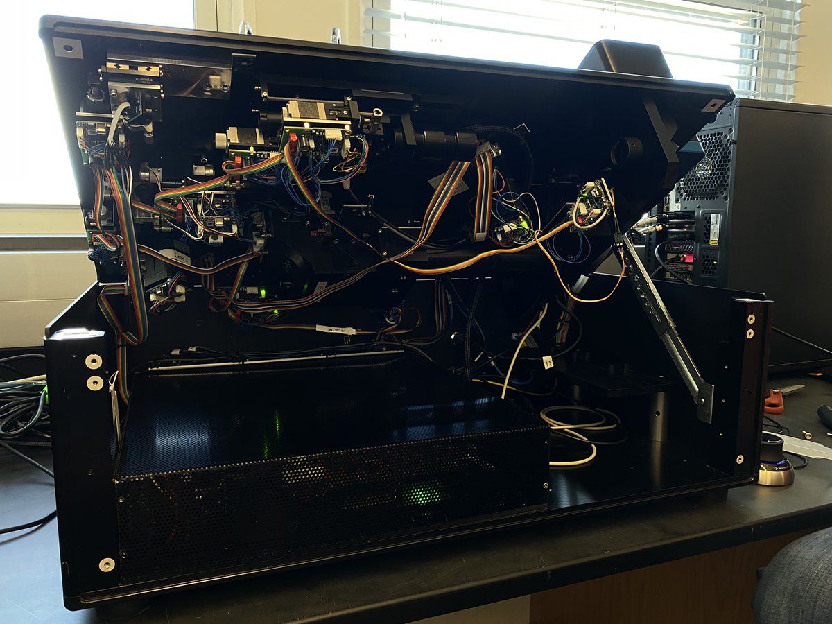 Nat_Prunet's tweet image. It’s #lightsheet #microscopy time! @BrukerFM TrueLive #microscope

#aqlm2023 @AQLMMBL