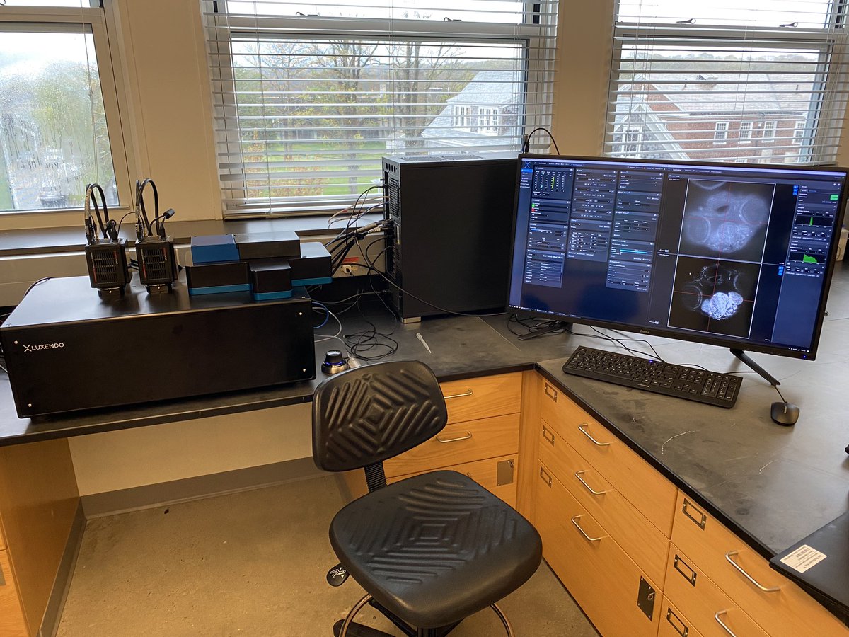 Nat_Prunet's tweet image. It’s #lightsheet #microscopy time! @BrukerFM TrueLive #microscope

#aqlm2023 @AQLMMBL