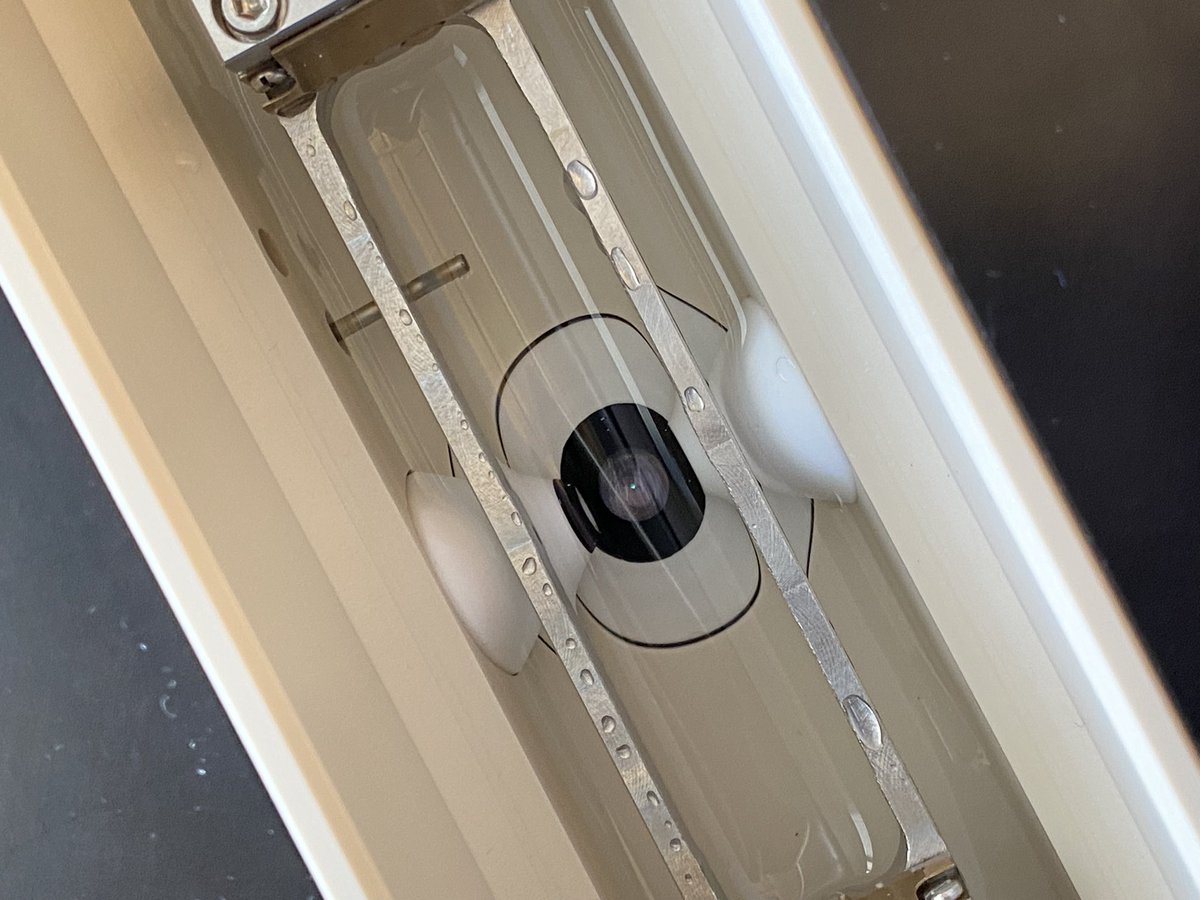 Nat_Prunet's tweet image. It’s #lightsheet #microscopy time! @BrukerFM TrueLive #microscope

#aqlm2023 @AQLMMBL