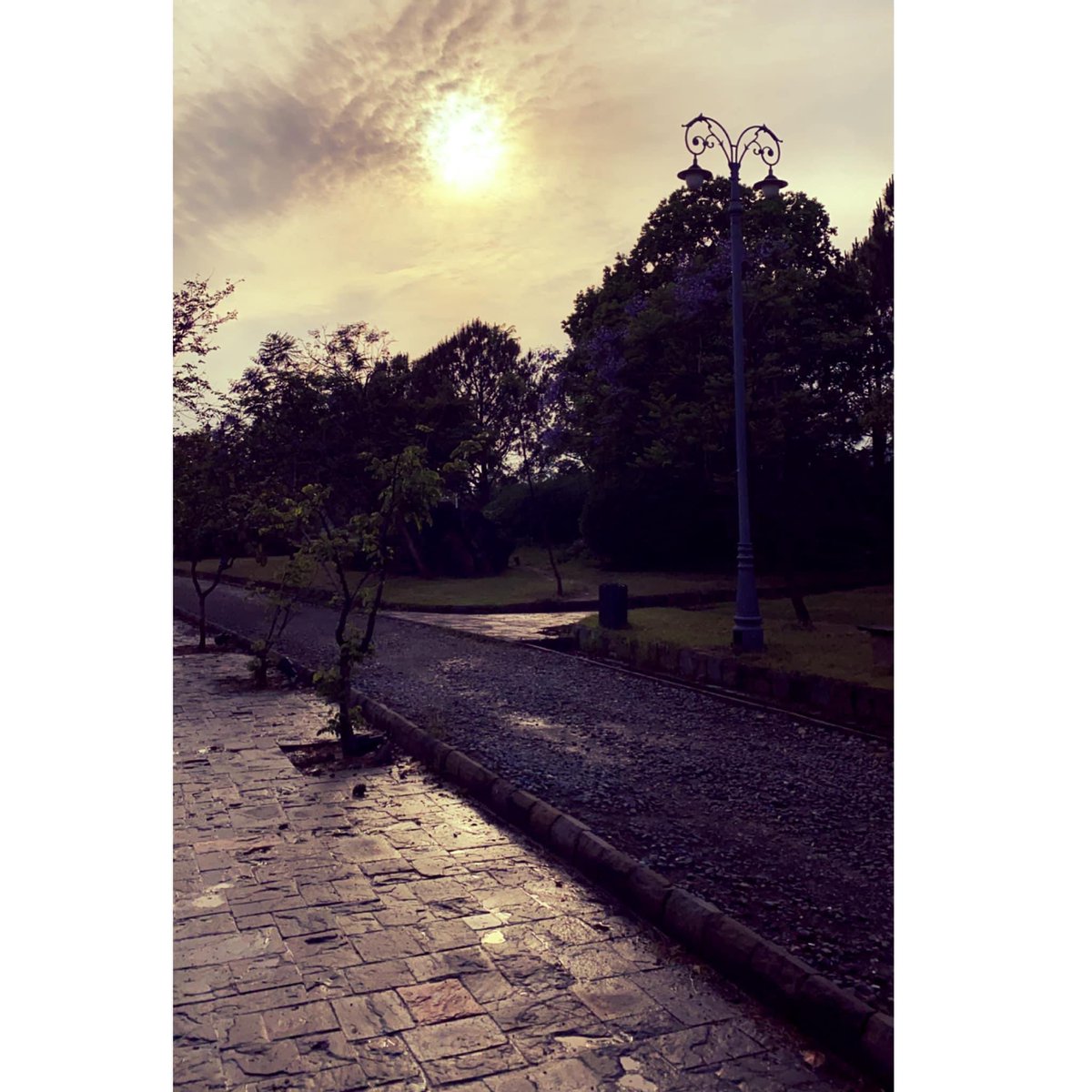 rezzalyshah's tweet photo. Gorgeous Sky and Nature 🌲 #loveforphotography📷 #photooftheday #PhotoByRezz https://t.co/j0xZpq55FI