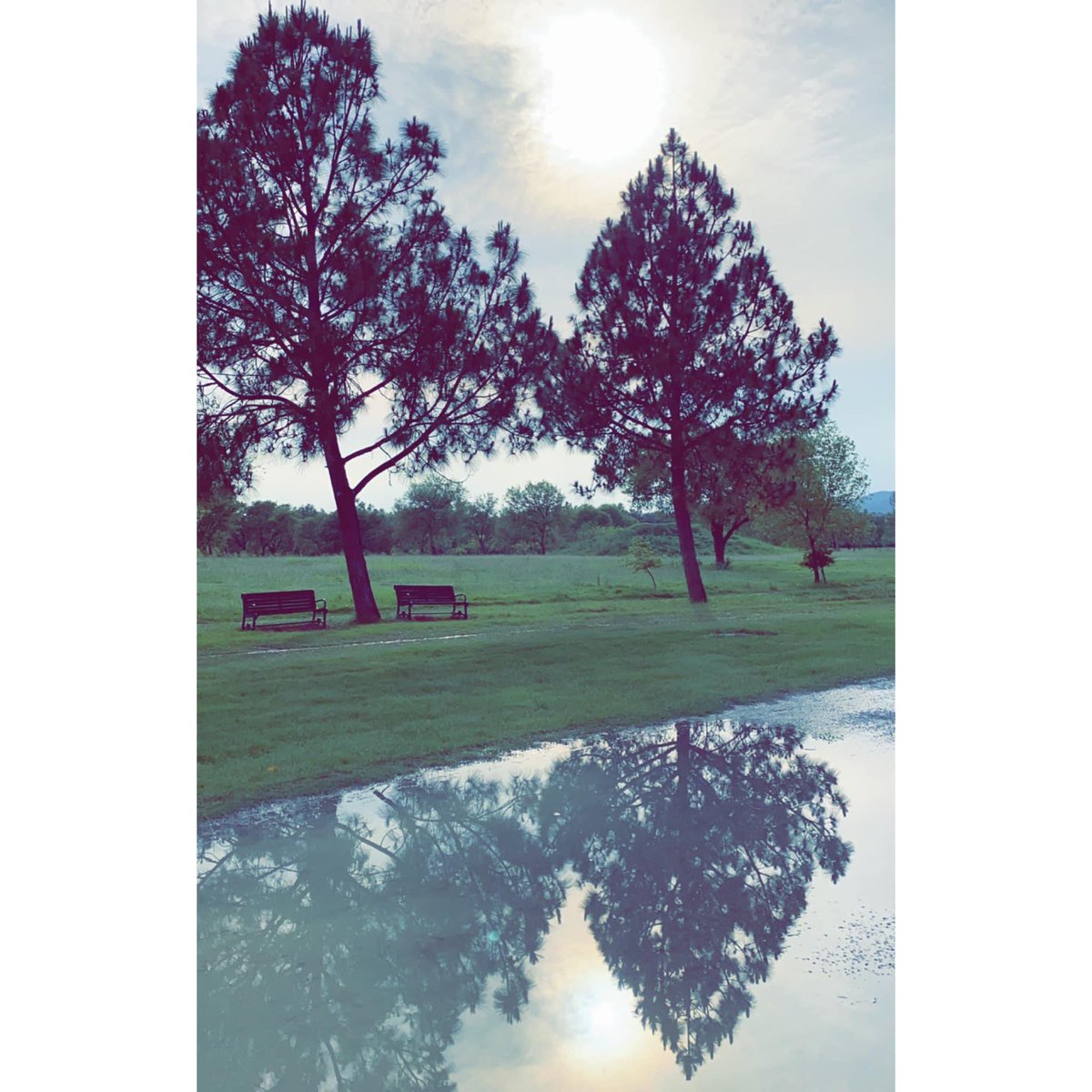 rezzalyshah's tweet photo. Gorgeous Sky and Nature 🌲 #loveforphotography📷 #photooftheday #PhotoByRezz https://t.co/j0xZpq55FI