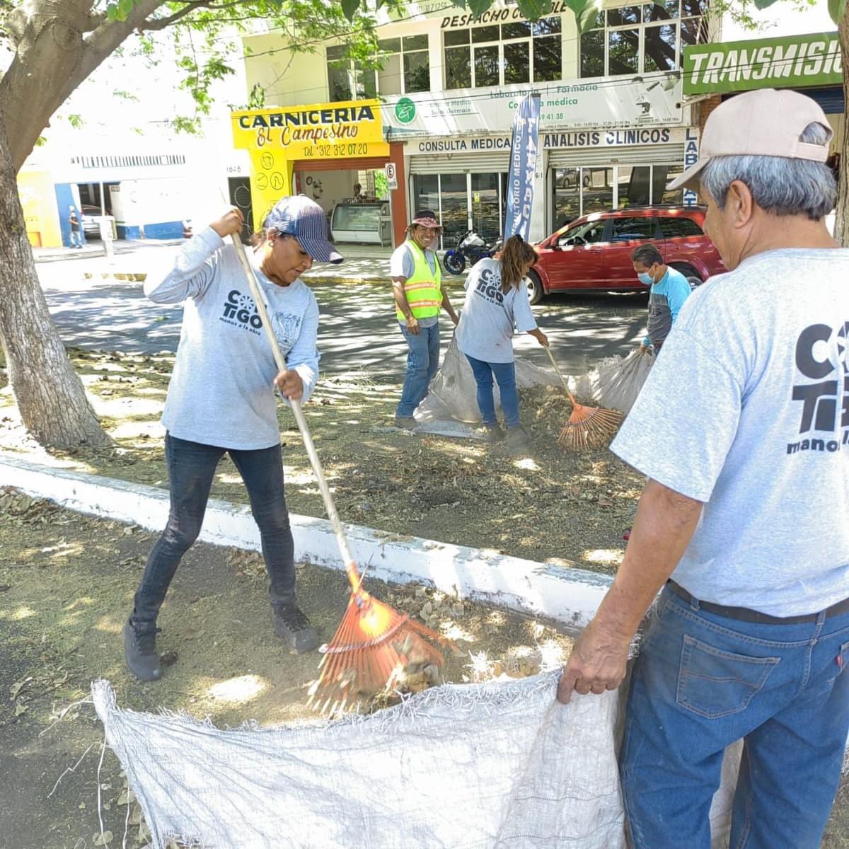 ColimaMunicipio's tweet photo. ¡Iniciamos el día poniendo #ManosALaObra en el camellón de la avenida #GonzaloDeSandoval!
Tenemos #TusImpuestosTrabajando para tener el #ColimaLimpio que queremos ❤ https://t.co/JRdkvTLWDA